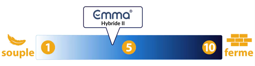 emma hybride II fermete